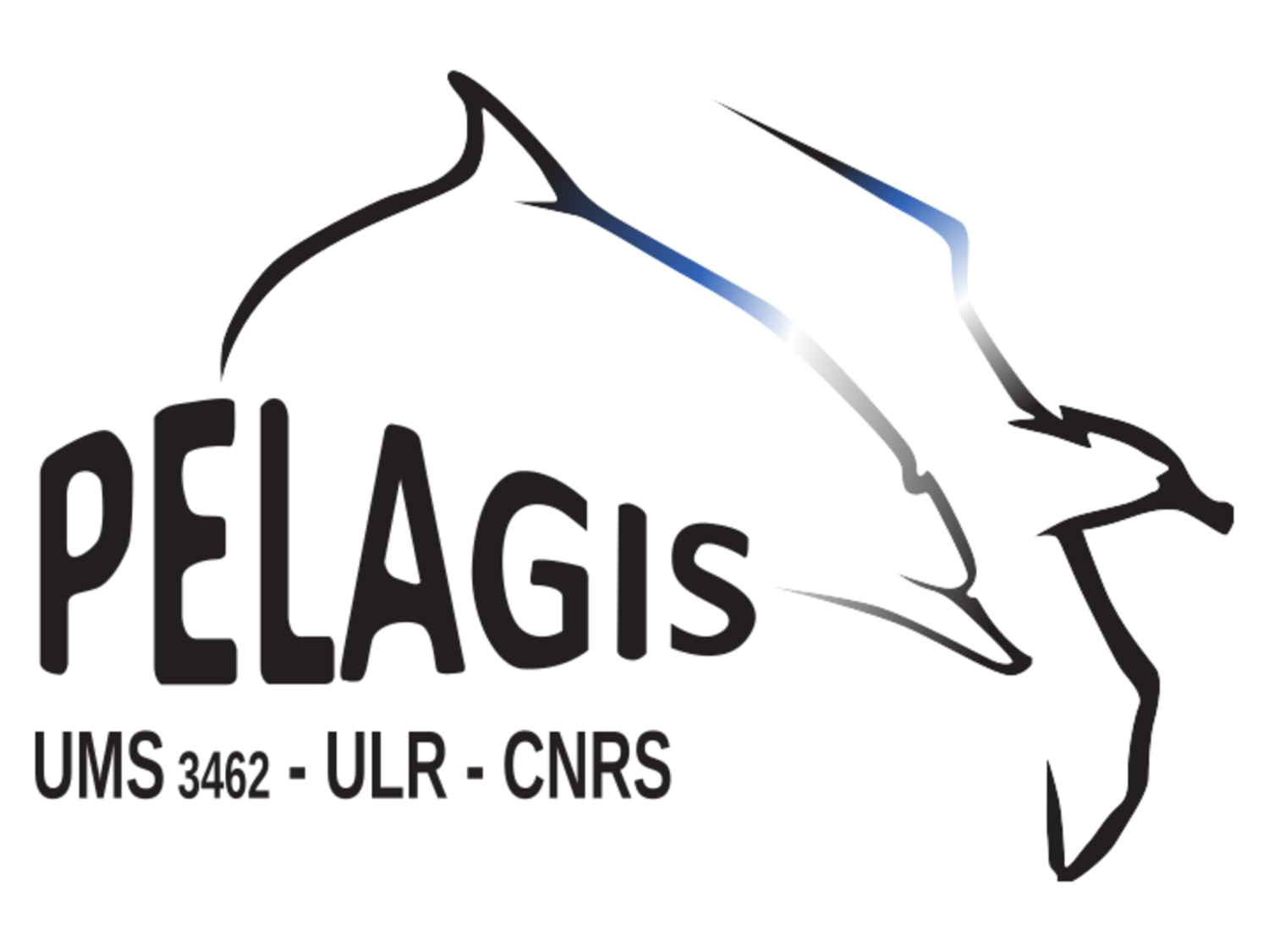 Logo Pelagis
